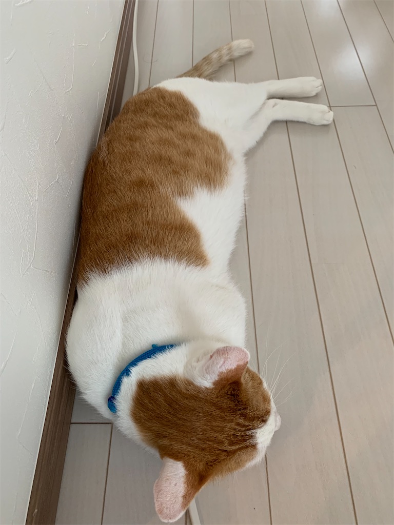 f:id:iwamityu:20210903133409j:image f:id:iwamityu:20210903133409j:image