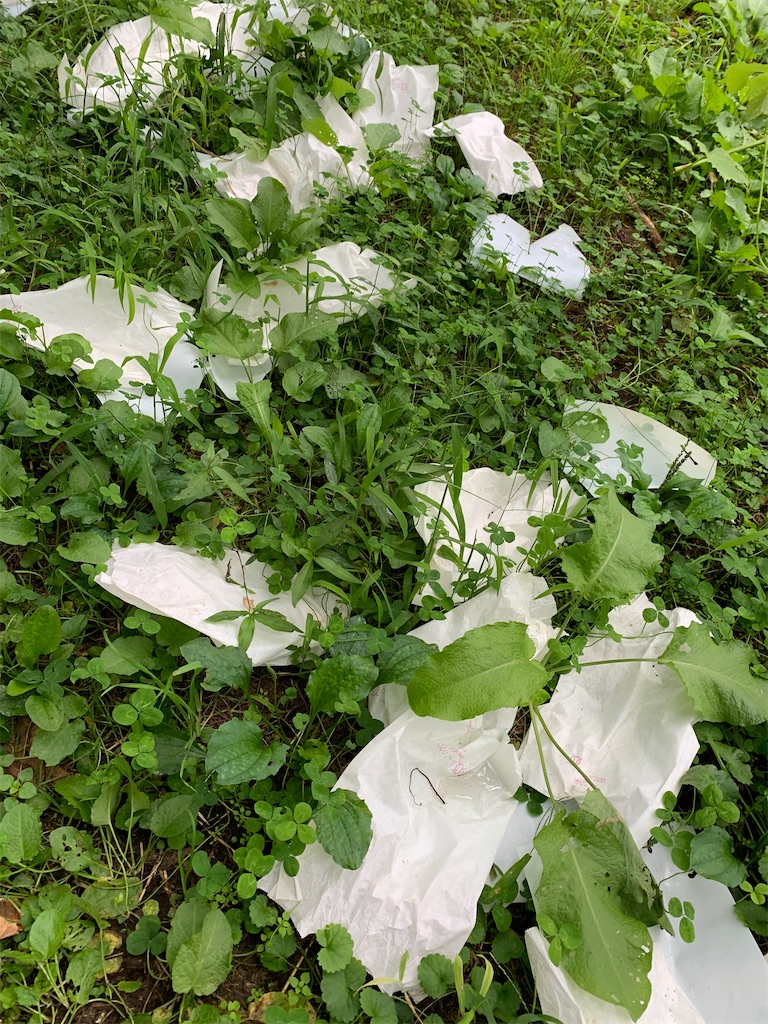 f:id:iwamityu:20210908155230j:image f:id:iwamityu:20210908155230j:image