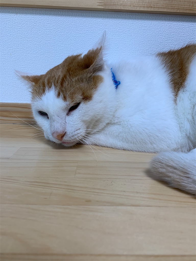f:id:iwamityu:20210909174739j:image