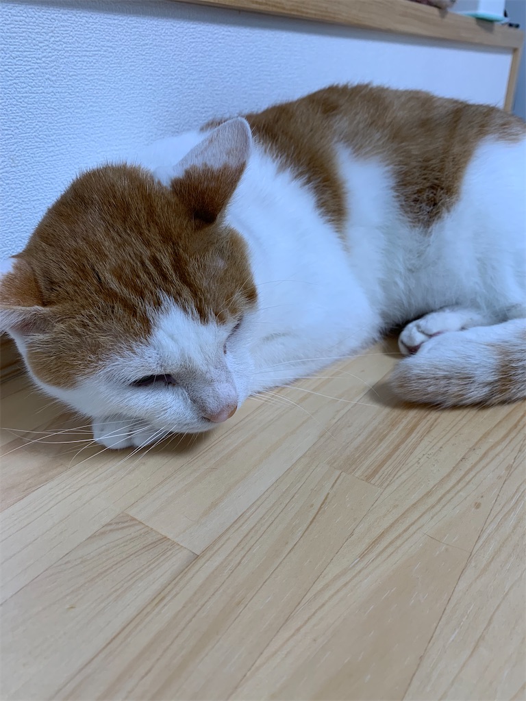 f:id:iwamityu:20210909174745j:image