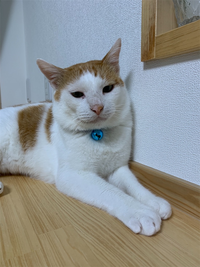 f:id:iwamityu:20210911123800j:image f:id:iwamityu:20210911123800j:image