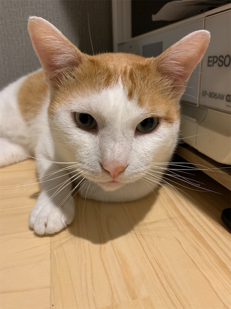 f:id:iwamityu:20210913192245j:image