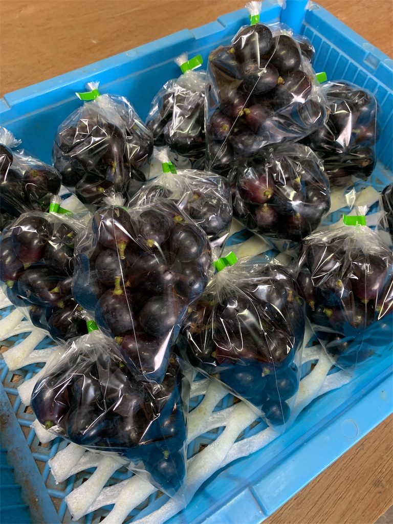 f:id:iwamityu:20210916185352j:image f:id:iwamityu:20210916185352j:image