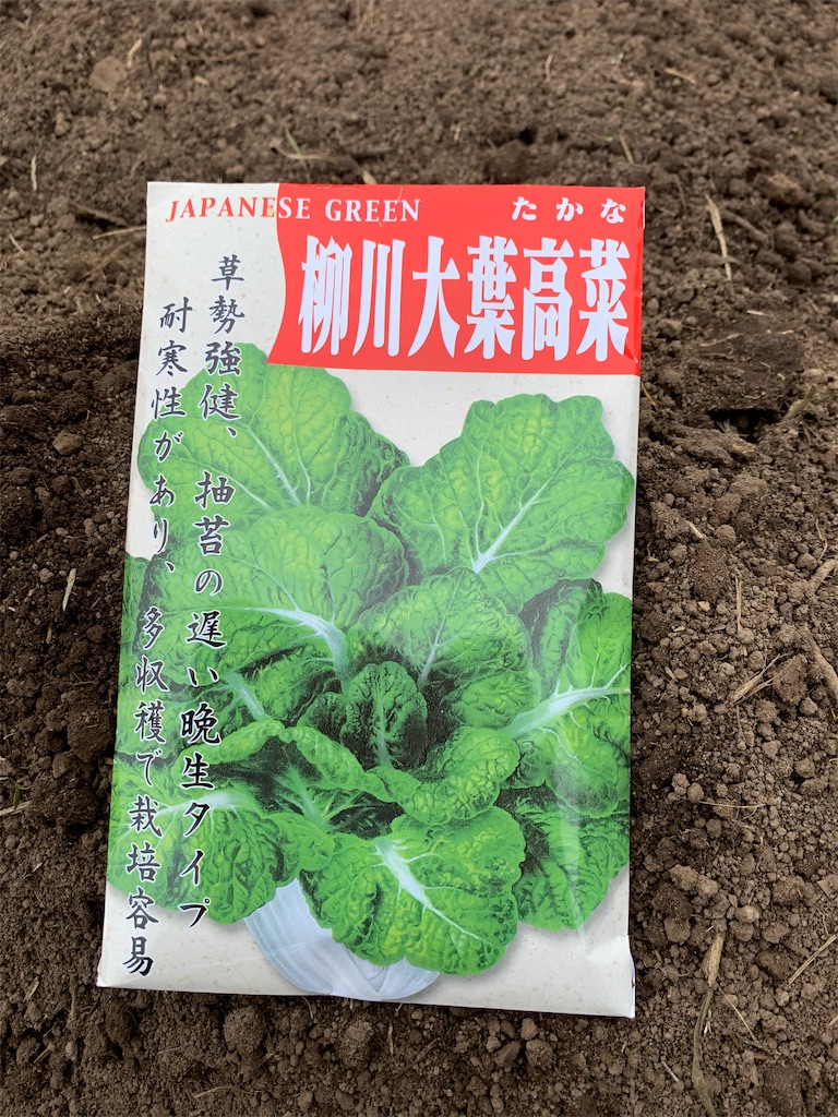 f:id:iwamityu:20210917180445j:image
