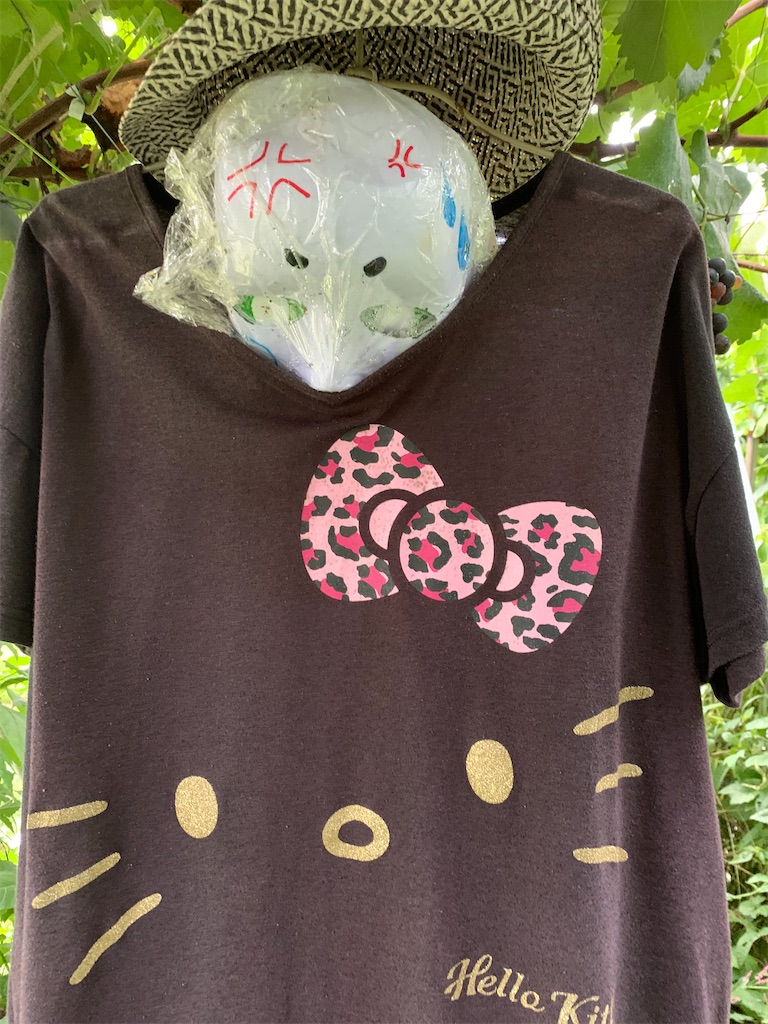 f:id:iwamityu:20210917180506j:image