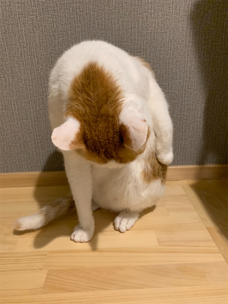 f:id:iwamityu:20210917201533j:image