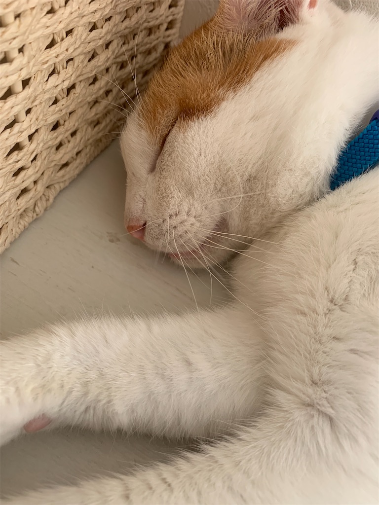 f:id:iwamityu:20210921190753j:image f:id:iwamityu:20210921190753j:image