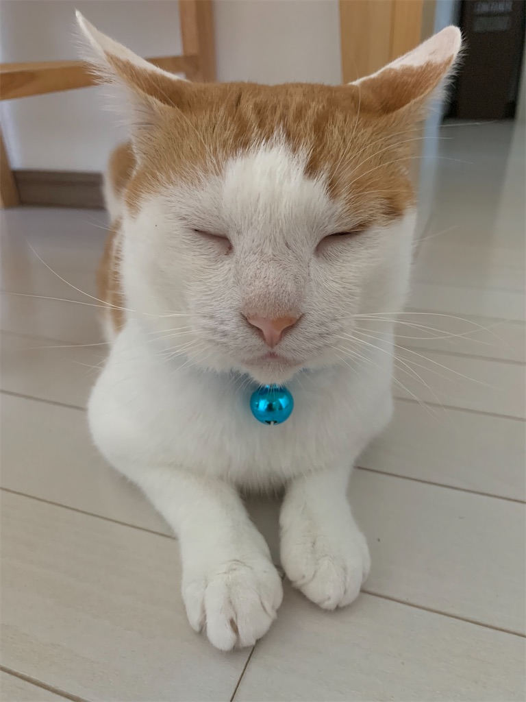f:id:iwamityu:20210921190758j:image f:id:iwamityu:20210921190758j:image