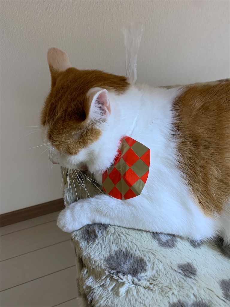 f:id:iwamityu:20210921195419j:image f:id:iwamityu:20210921195419j:image