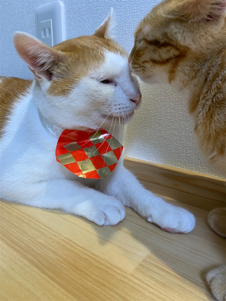 f:id:iwamityu:20210921203129j:image f:id:iwamityu:20210921203129j:image