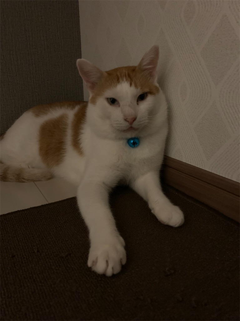 f:id:iwamityu:20210923191111j:image