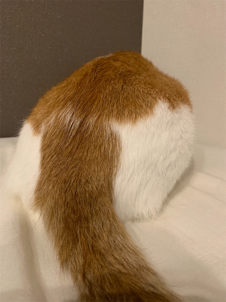 f:id:iwamityu:20210925165932j:image