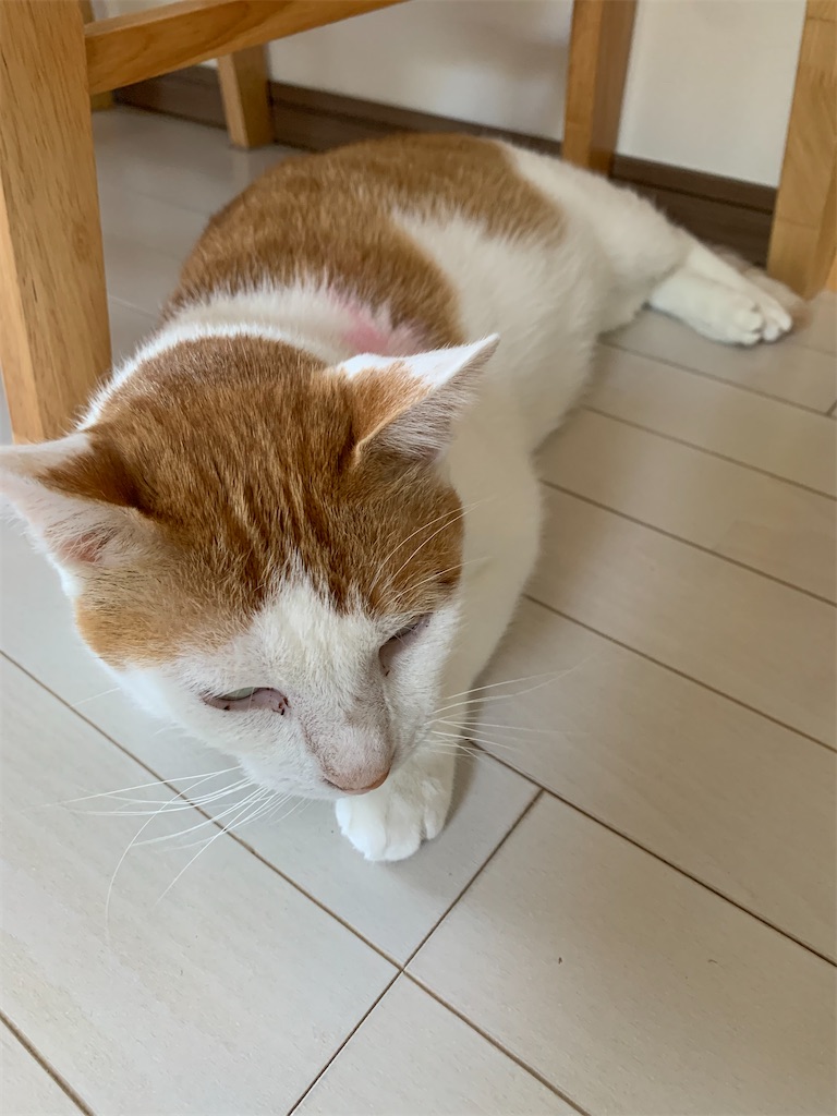 f:id:iwamityu:20211004174823j:image f:id:iwamityu:20211004174823j:image