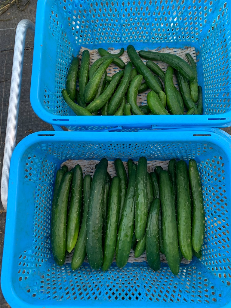 f:id:iwamityu:20211004174833j:image f:id:iwamityu:20211004174833j:image