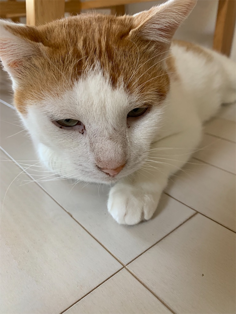 f:id:iwamityu:20211004174856j:image f:id:iwamityu:20211004174856j:image