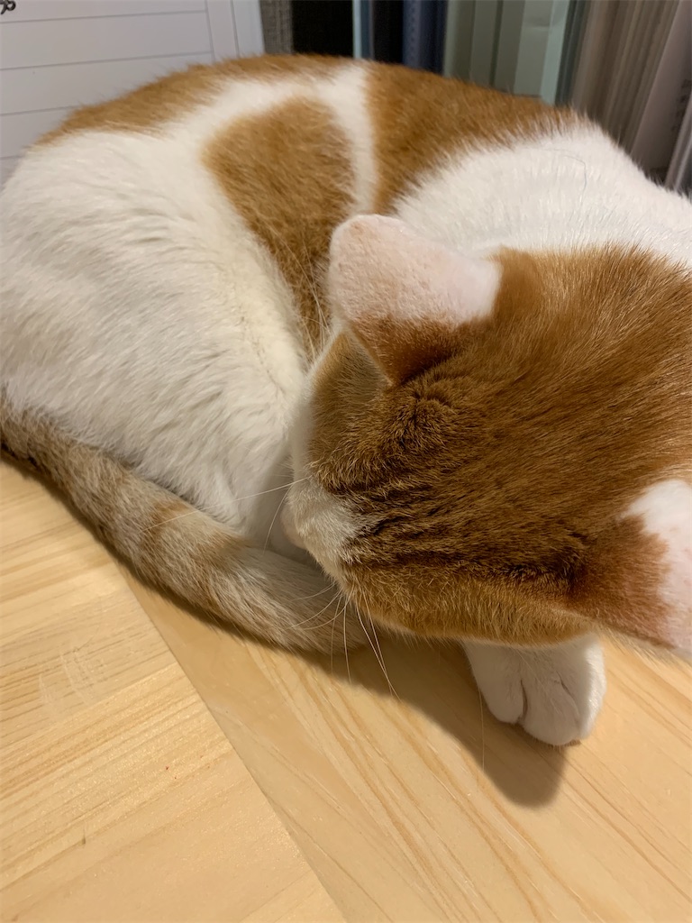 f:id:iwamityu:20211004194318j:image f:id:iwamityu:20211004194318j:image