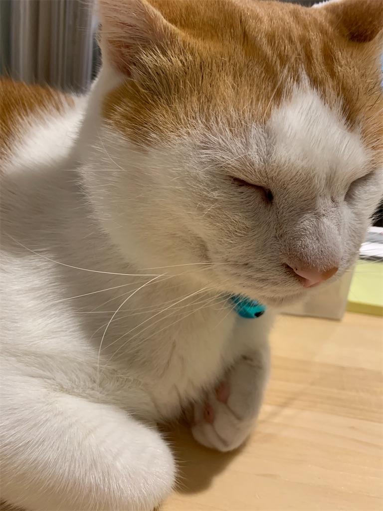f:id:iwamityu:20211005182116j:image