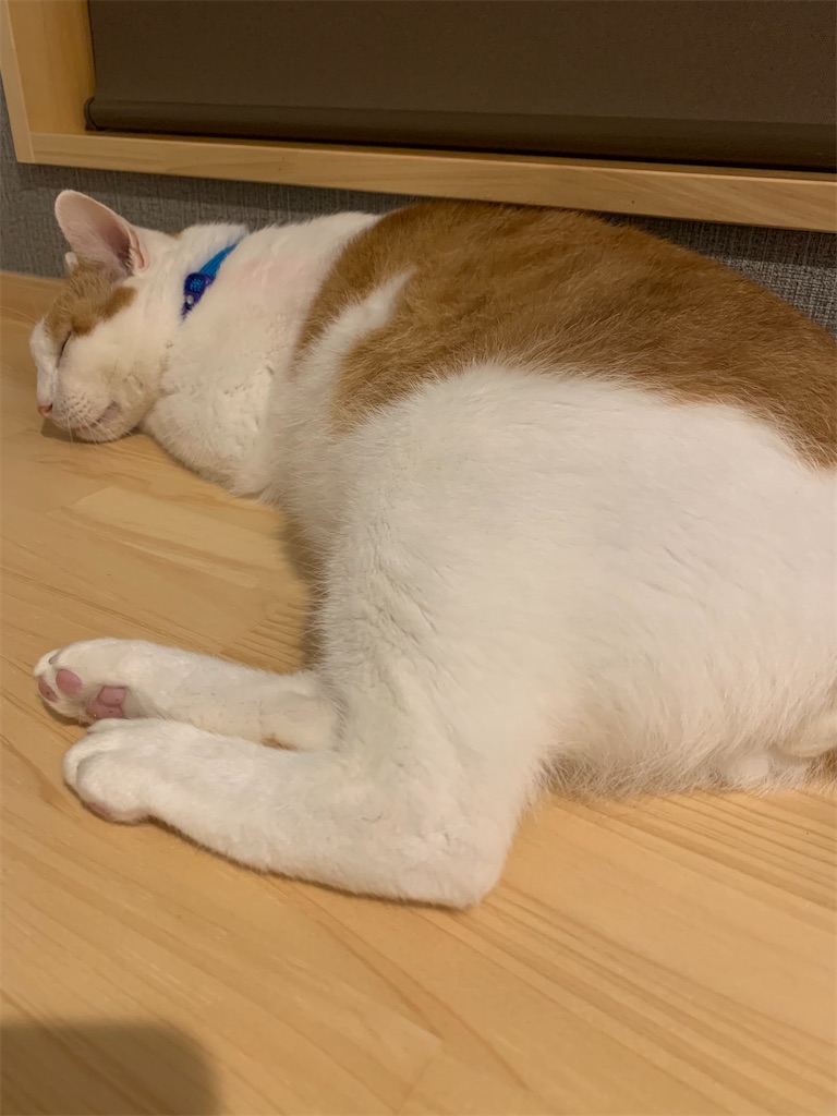 f:id:iwamityu:20211007203952j:image f:id:iwamityu:20211007203952j:image