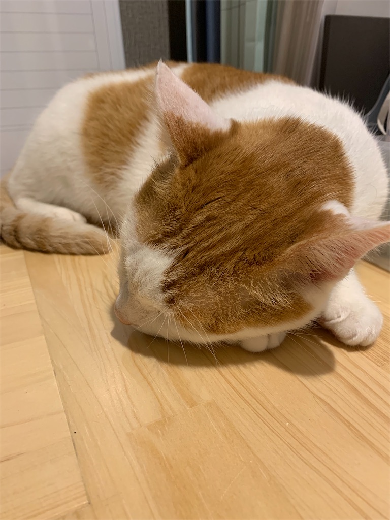 f:id:iwamityu:20211008191113j:image