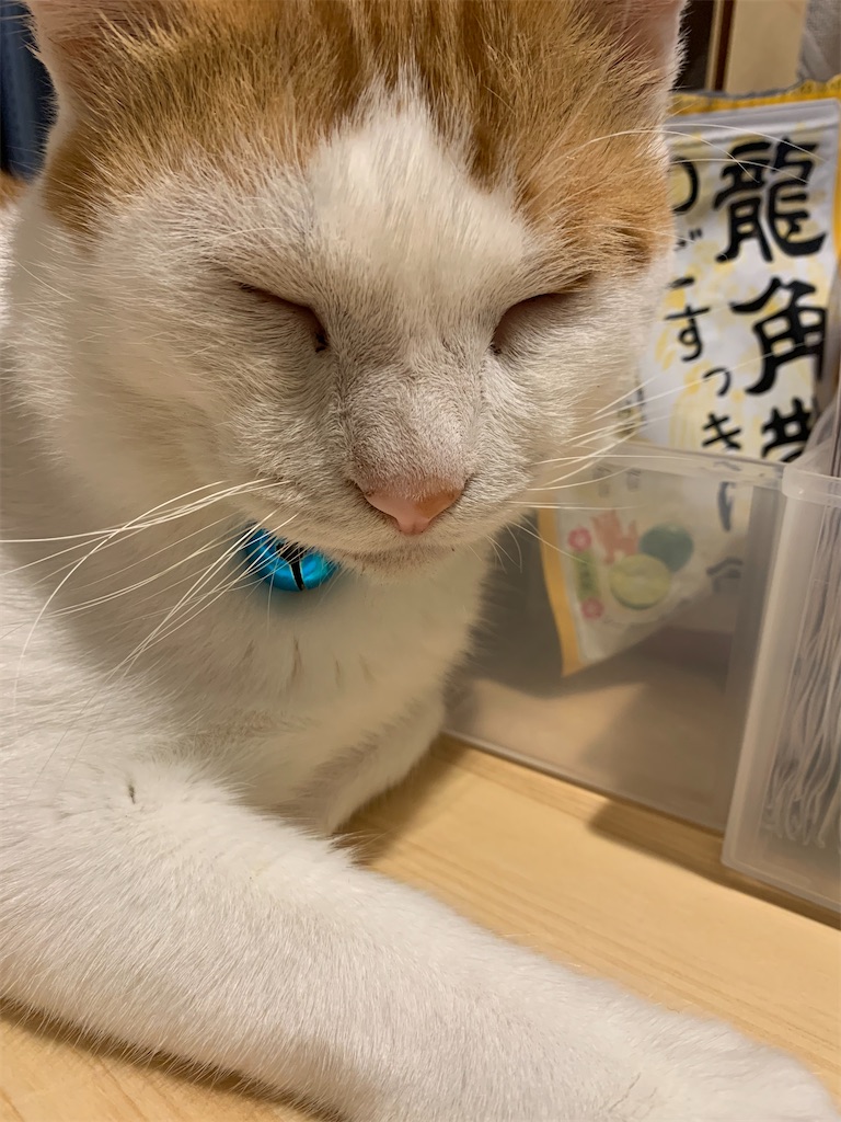 f:id:iwamityu:20211010190119j:image
