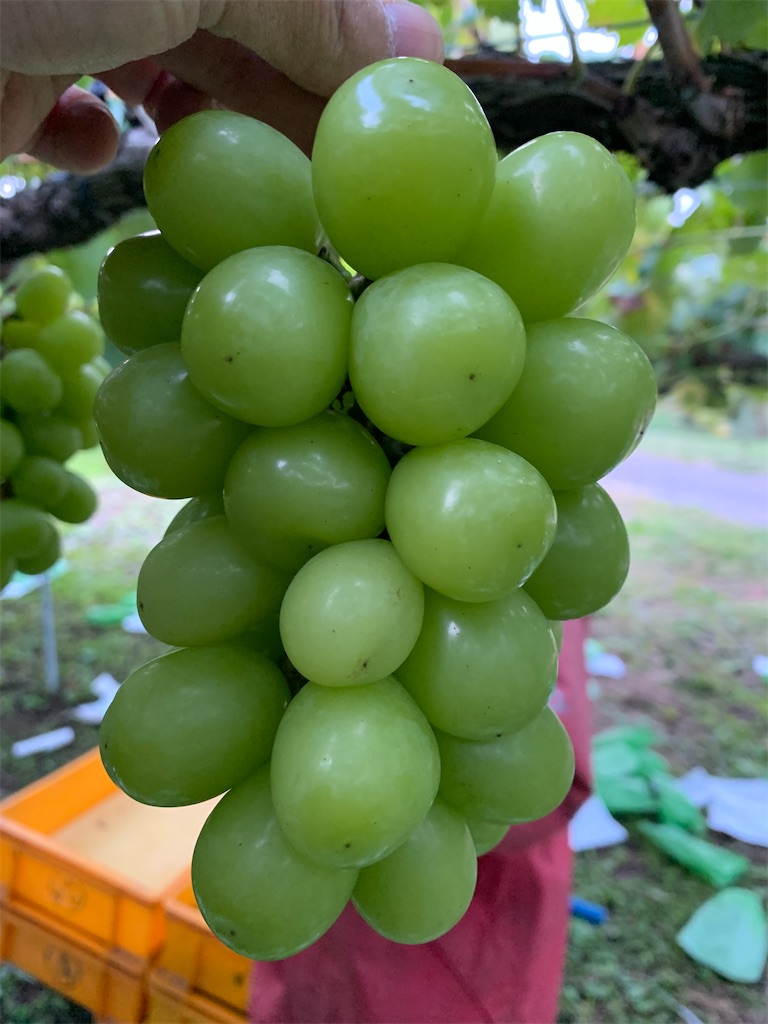 f:id:iwamityu:20211019193736j:image f:id:iwamityu:20211019193736j:image
