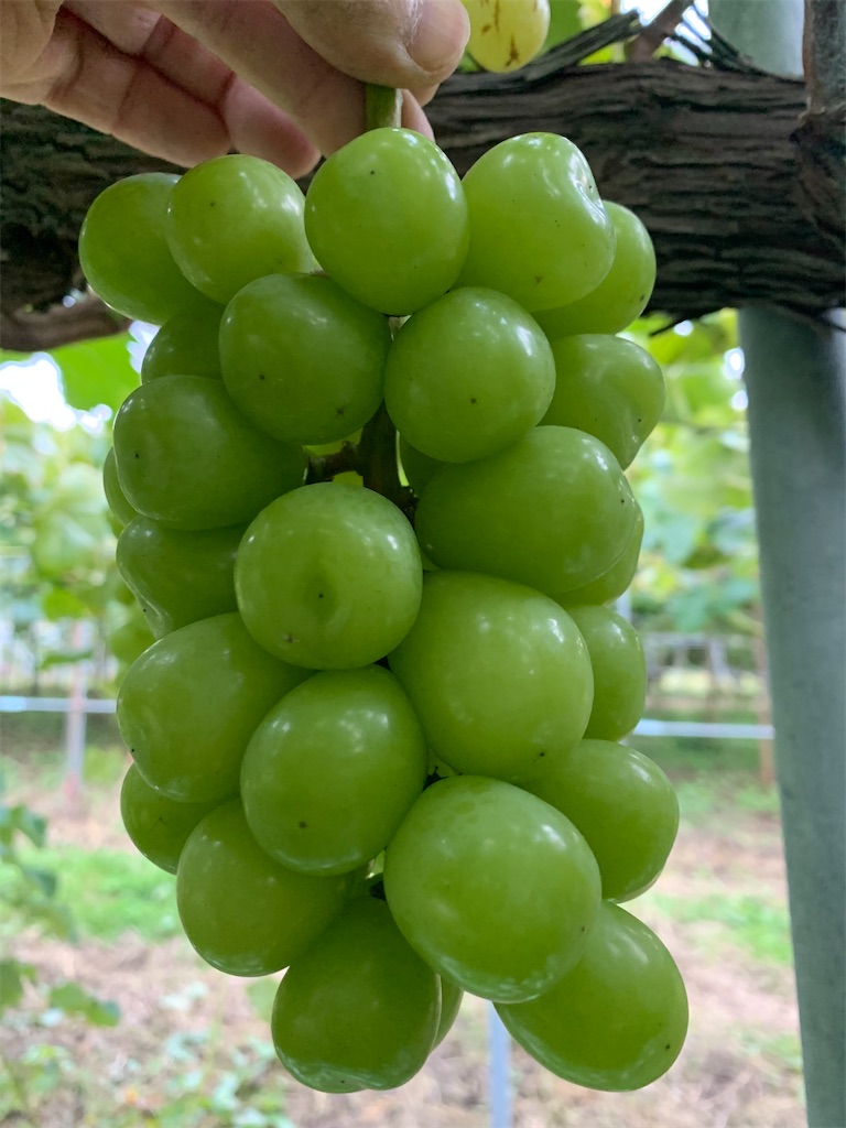 f:id:iwamityu:20211019193738j:image f:id:iwamityu:20211019193738j:image