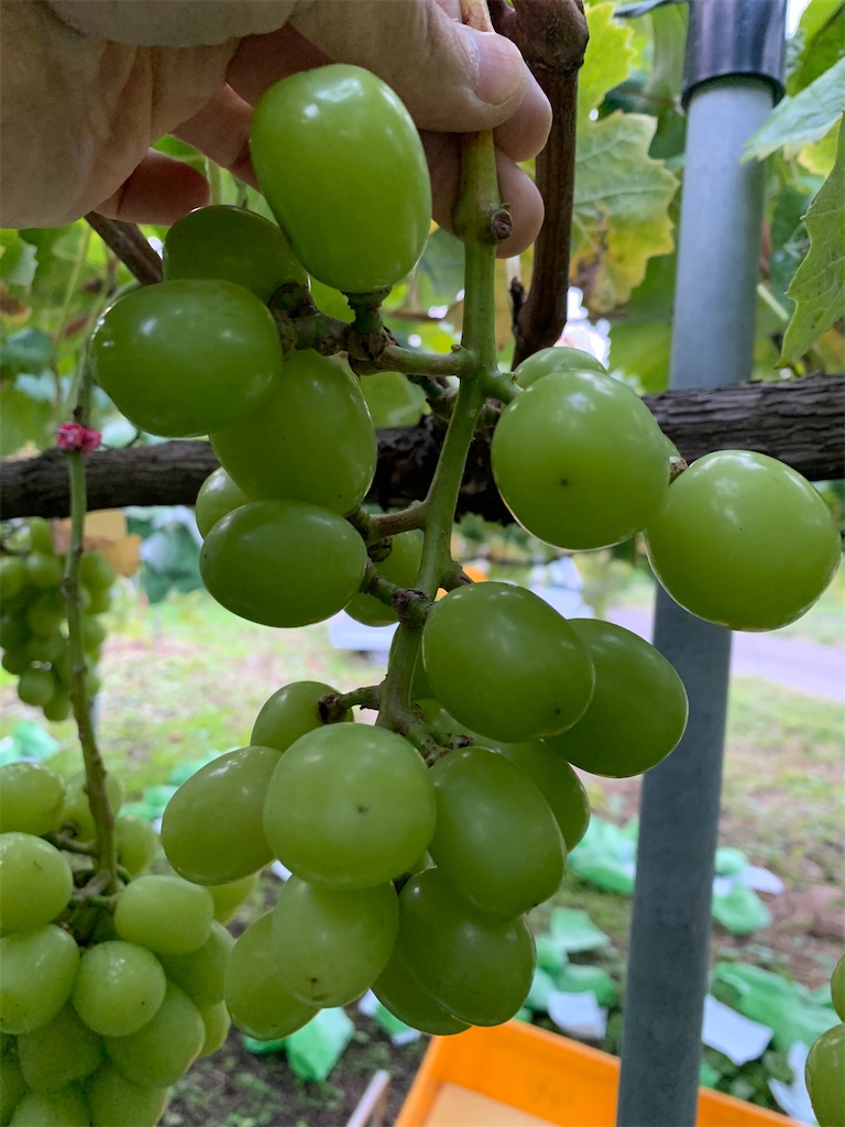 f:id:iwamityu:20211019193743j:image f:id:iwamityu:20211019193743j:image