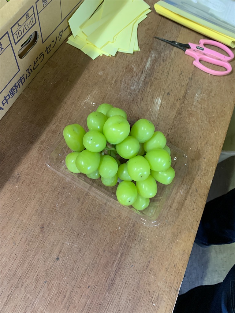 f:id:iwamityu:20211019193749j:image f:id:iwamityu:20211019193749j:image