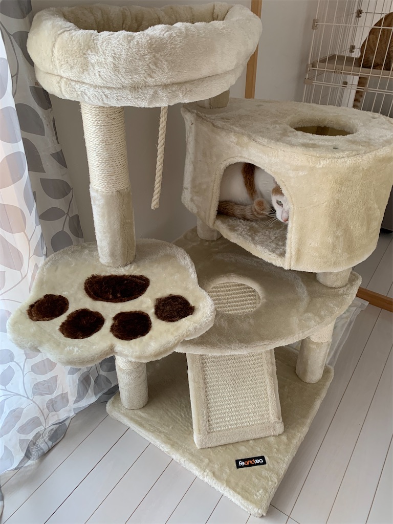 f:id:iwamityu:20211020195414j:image