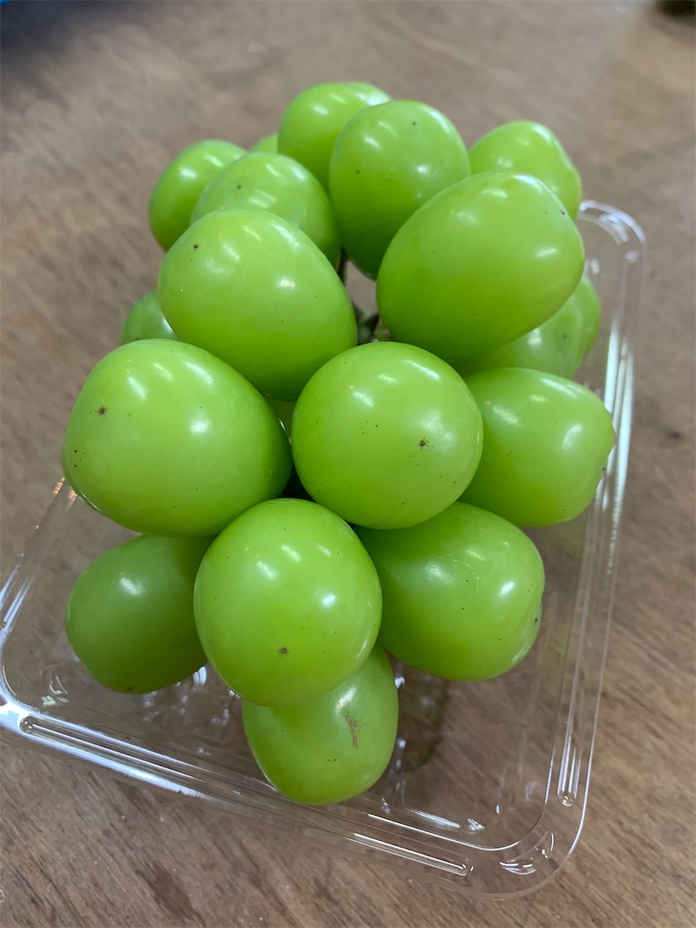 f:id:iwamityu:20211020195417j:image