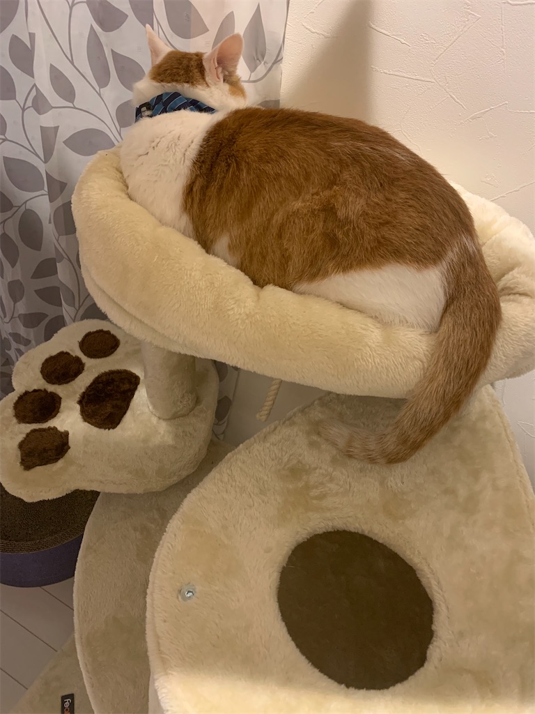 f:id:iwamityu:20211022203401j:image f:id:iwamityu:20211022203401j:image