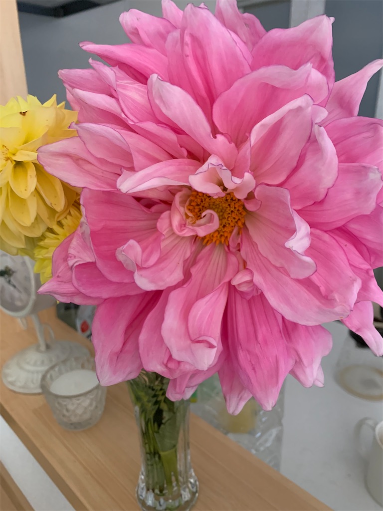 f:id:iwamityu:20211024201909j:image