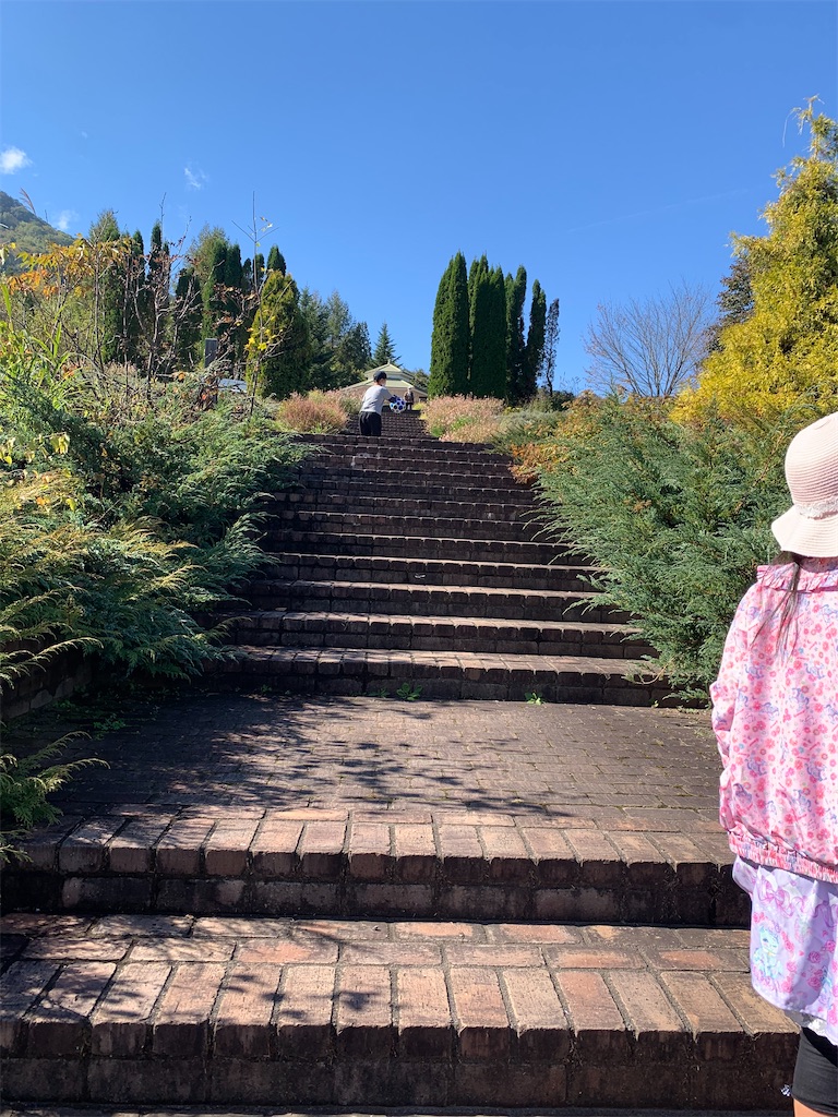 f:id:iwamityu:20211024201951j:image