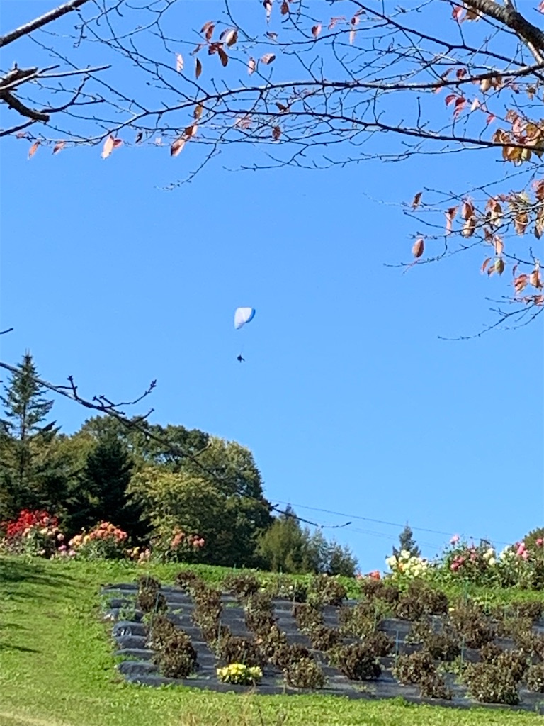 f:id:iwamityu:20211024201956j:image