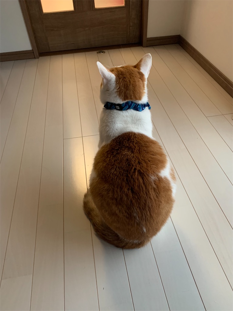 f:id:iwamityu:20211027185251j:image