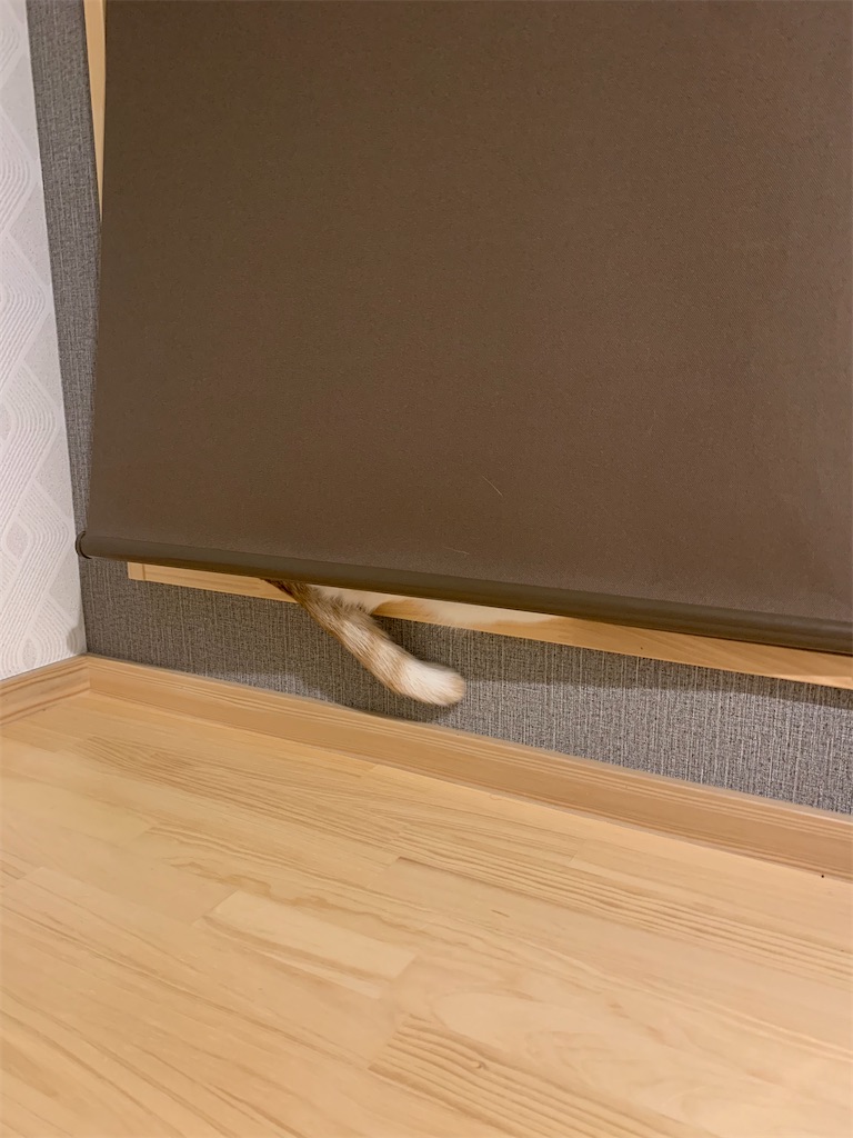 f:id:iwamityu:20211028195710j:image