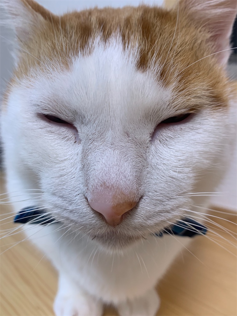 f:id:iwamityu:20211129181818j:image f:id:iwamityu:20211129181818j:image