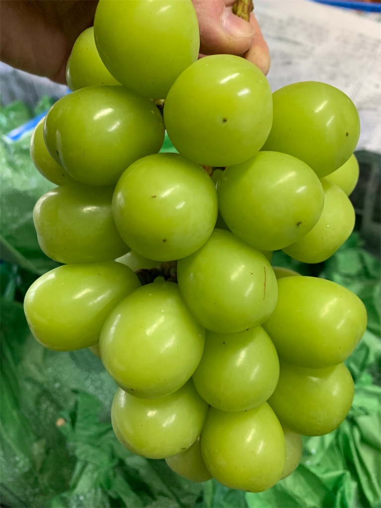 f:id:iwamityu:20211204134849j:image f:id:iwamityu:20211204134849j:image