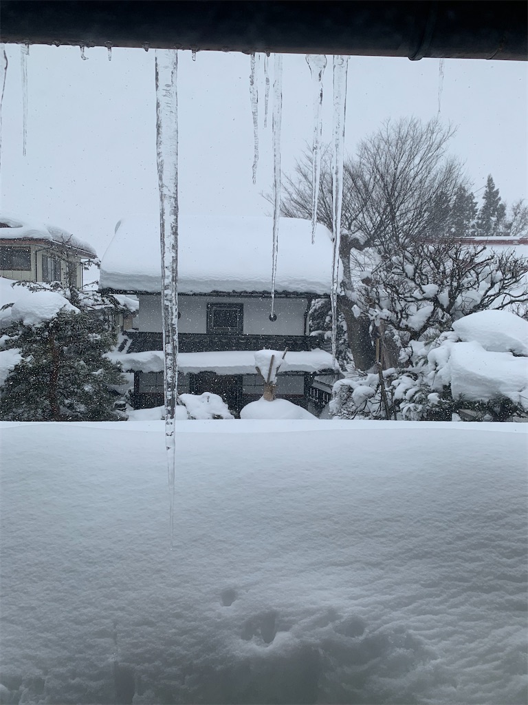 f:id:iwamityu:20220120172805j:image f:id:iwamityu:20220120172805j:image