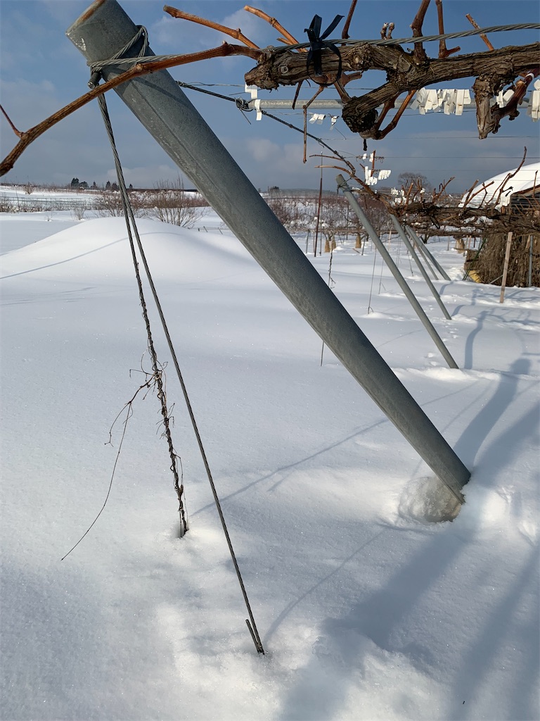 f:id:iwamityu:20220126174423j:image