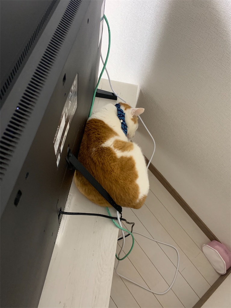 f:id:iwamityu:20220201213503j:image f:id:iwamityu:20220201213503j:image