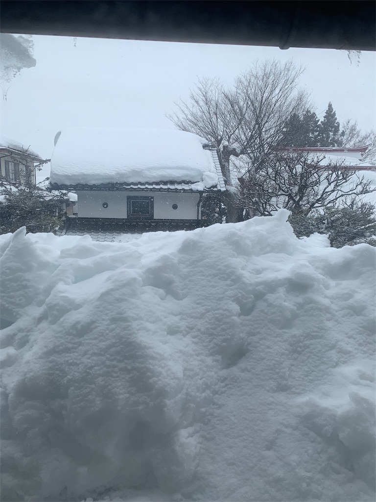 f:id:iwamityu:20220210152351j:image