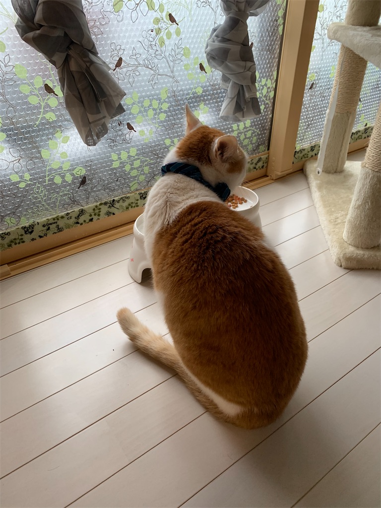 f:id:iwamityu:20220214175142j:image
