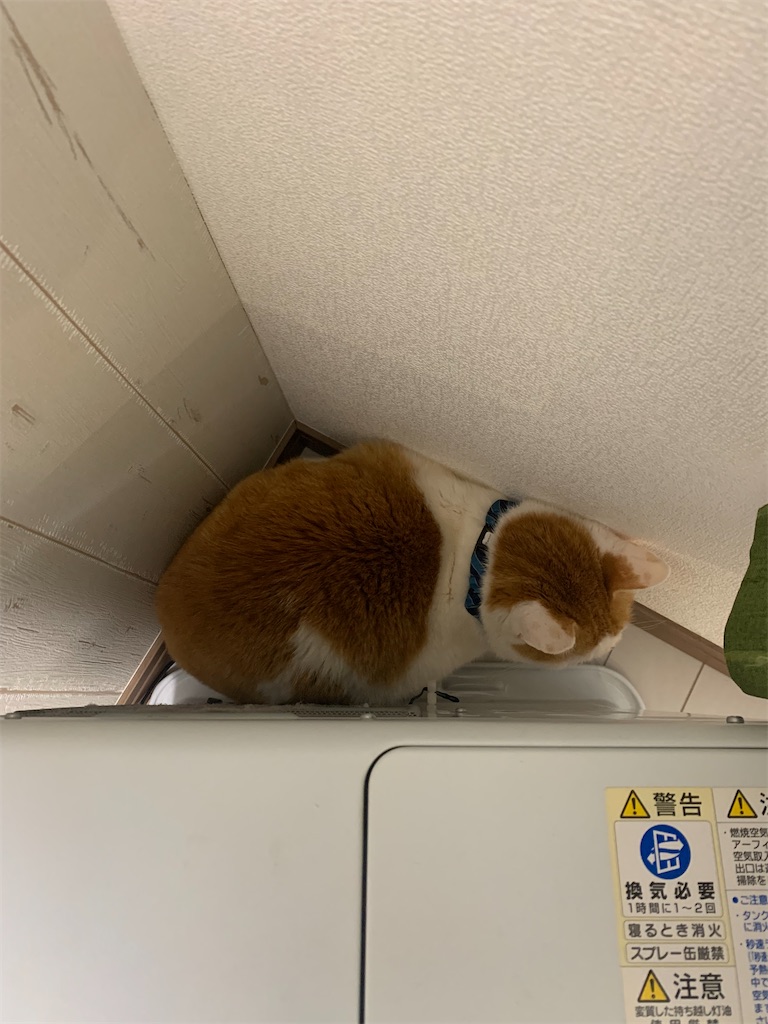f:id:iwamityu:20220217110412j:image