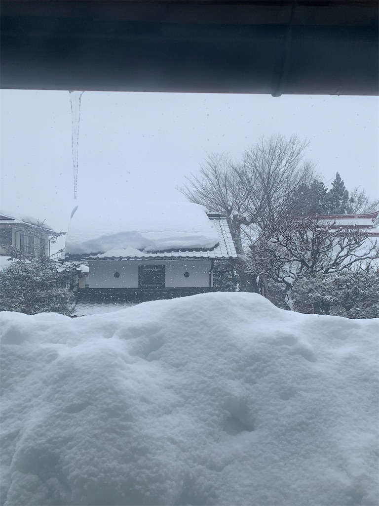 f:id:iwamityu:20220217110423j:image
