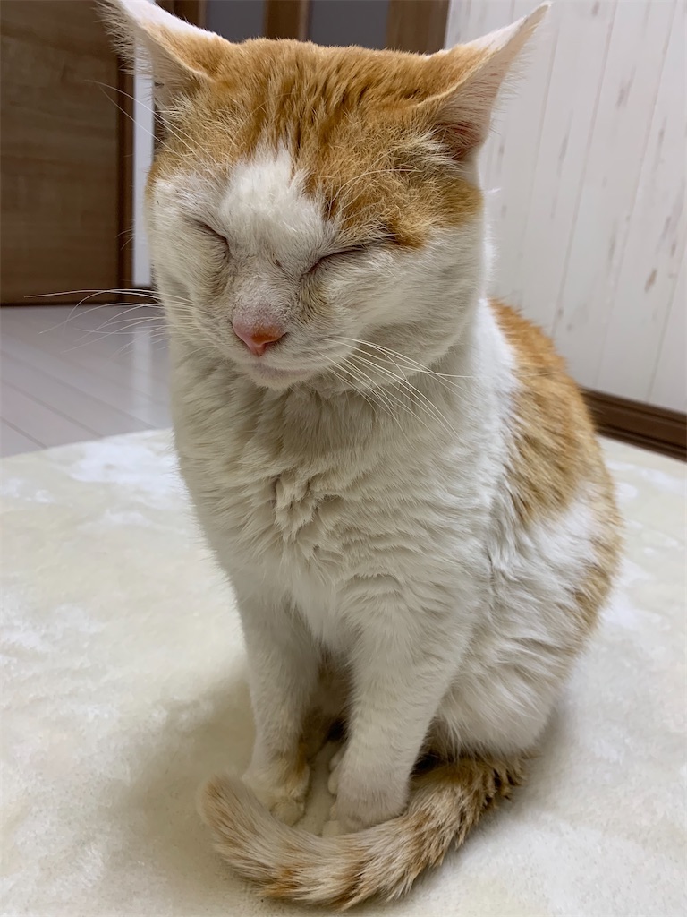 f:id:iwamityu:20220217190546j:image