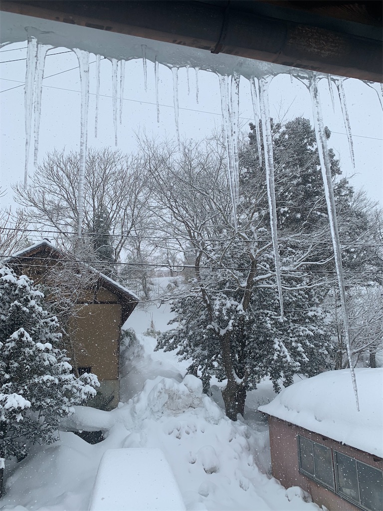 f:id:iwamityu:20220218194538j:image