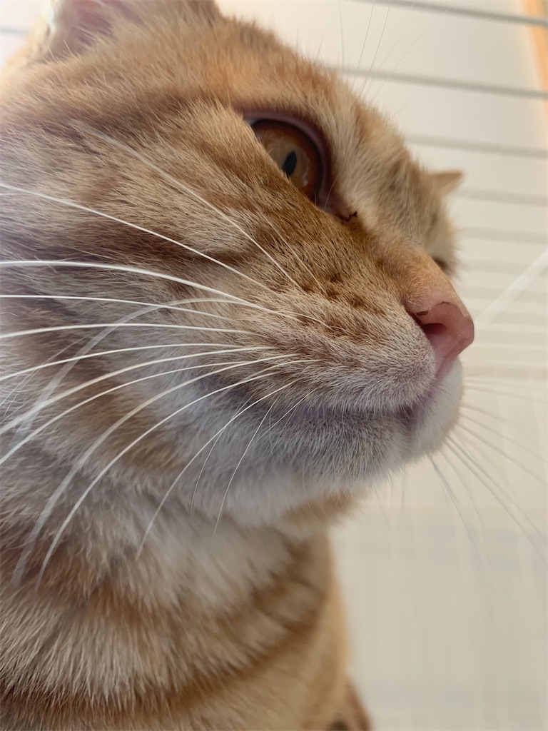 f:id:iwamityu:20220220140558j:image