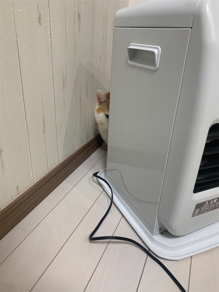 f:id:iwamityu:20220220170417j:image