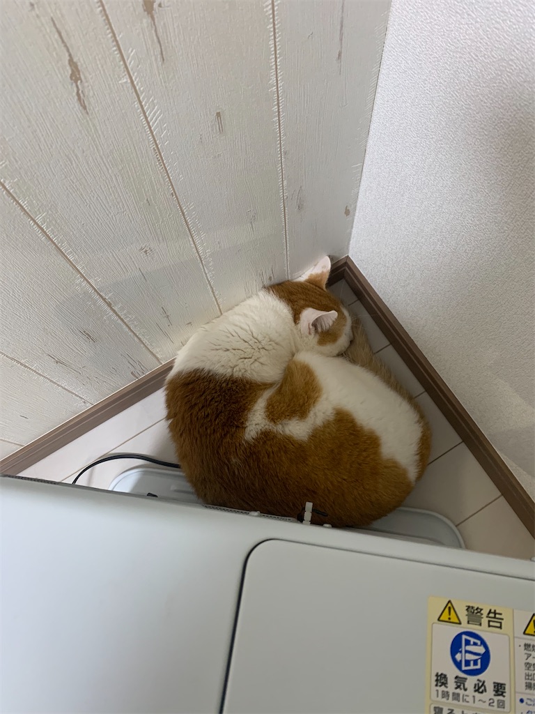 f:id:iwamityu:20220220175016j:image